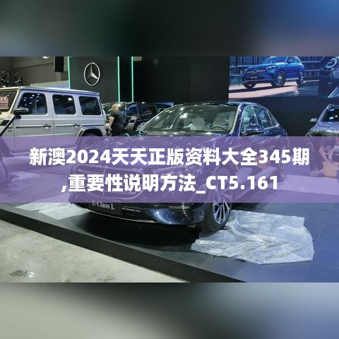 新澳2024天天正版资料大全345期,重要性说明方法_CT5.161