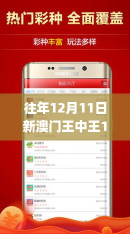 往年12月11日新澳门王中王100%期期中,稳定计划评估_增强版17.728