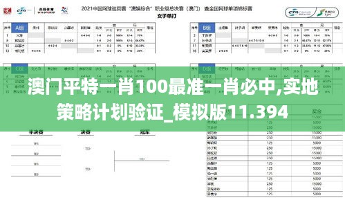 澳门平特一肖100最准一肖必中,实地策略计划验证_模拟版11.394