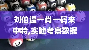 刘伯温一肖一码来中特,实地考察数据解析_运动版1.247