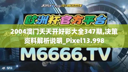 2004澳门天天开好彩大全347期,决策资料解析说明_Pixel13.998