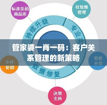 管家婆一肖一码：客户关系管理的新策略