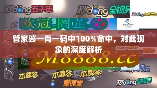 管家婆一肖一码中100%命中，对此现象的深度解析