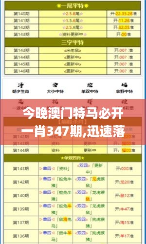 今晚澳门特马必开一肖347期,迅速落实计划解答_完整版2.999