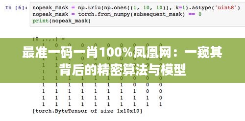 最准一码一肖100%凤凰网：一窥其背后的精密算法与模型