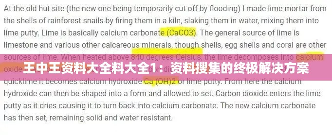 王中王资料大全料大全1：资料搜集的终极解决方案