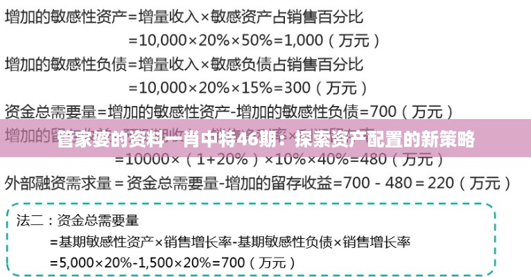 管家婆的资料一肖中特46期：探索资产配置的新策略