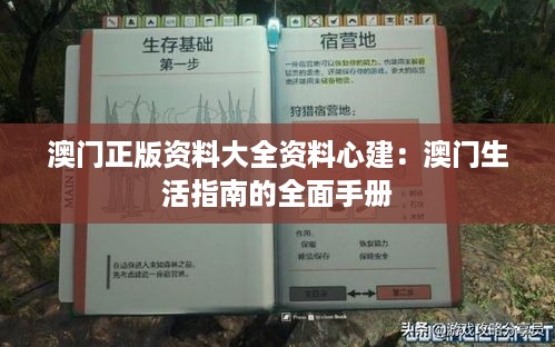 澳门正版资料大全资料心建：澳门生活指南的全面手册