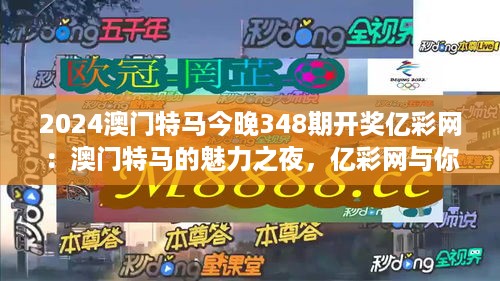 2024澳门特马今晚348期开奖亿彩网：澳门特马的魅力之夜，亿彩网与你不见不散。