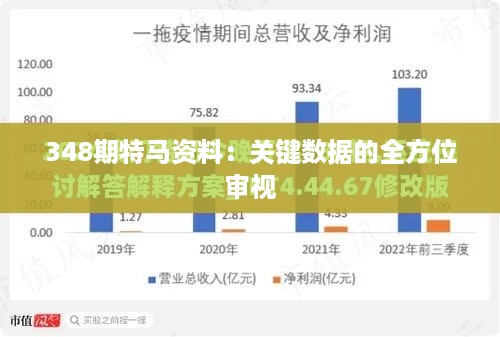 348期特马资料：关键数据的全方位审视