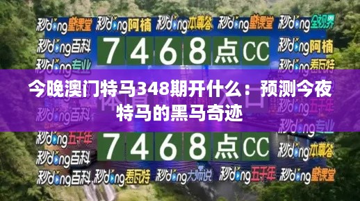 今晚澳门特马348期开什么：预测今夜特马的黑马奇迹