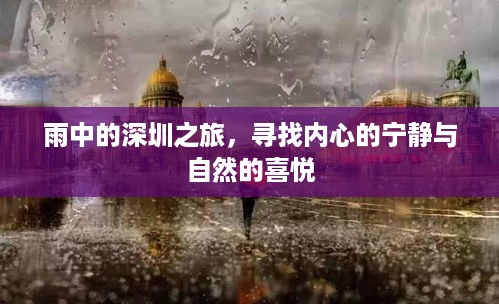 深圳雨中之行，探寻内心宁静与自然喜悦的旅程