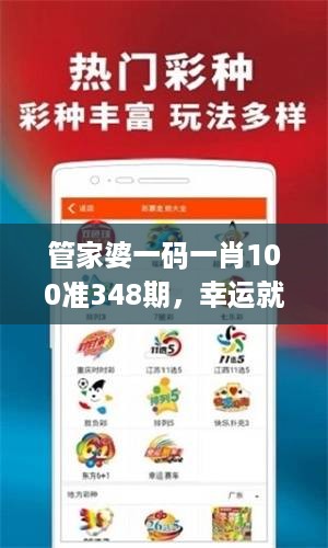 管家婆一码一肖100准348期，幸运就在一码之间