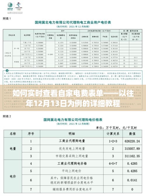 详细教程，如何实时查看自家电费表单——以去年12月13日为例