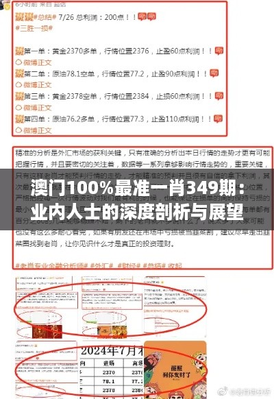 澳门100%最准一肖349期：业内人士的深度剖析与展望