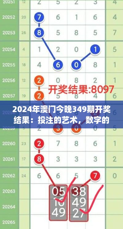 2024年澳门今晚349期开奖结果：投注的艺术，数字的魔法