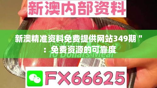 新澳精准资料免费提供网站349期＂：免费资源的可靠度