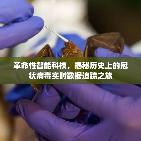 革命性智能科技揭秘，冠状病毒实时数据追踪的历史之旅