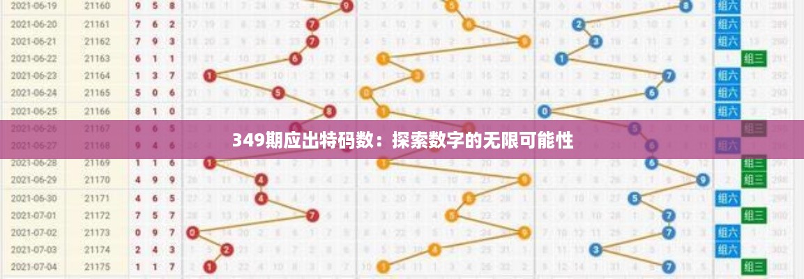 349期应出特码数：探索数字的无限可能性