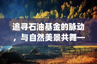 追寻石油基金的脉动与自然美景共舞的心灵之旅