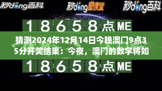 猜测2024年12月14日今晚澳门9点35分开奖结果：今夜，澳门的数字将如何舞蹈