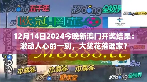 12月14日2024今晚新澳门开奖结果：激动人心的一刻，大奖花落谁家？