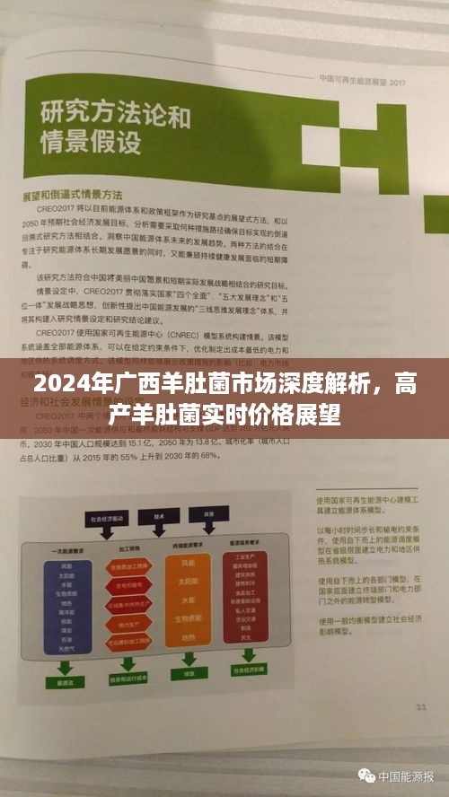 2024年广西羊肚菌市场深度解析及高产羊肚菌实时价格展望