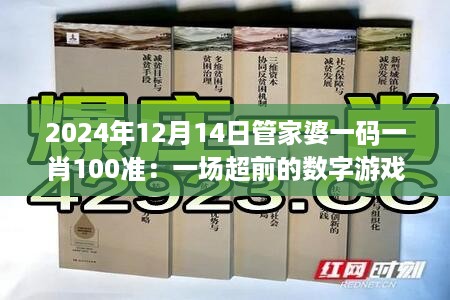 2024年12月14日管家婆一码一肖100准：一场超前的数字游戏