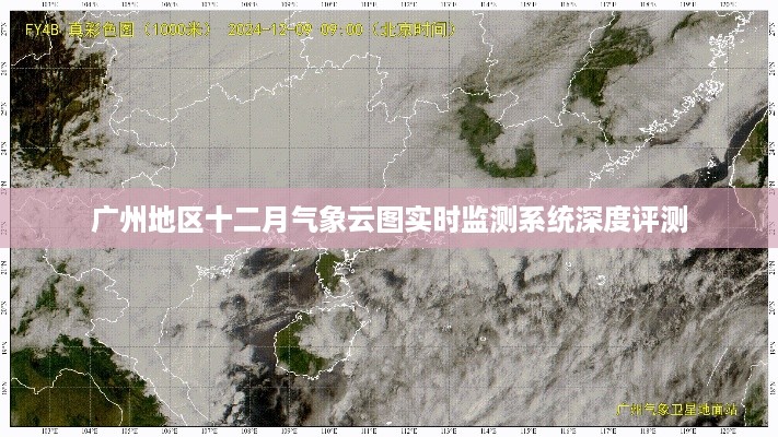 2024年12月14日 第10页