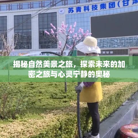 自然美景探索之旅，揭秘未来密码与心灵宁静之谜