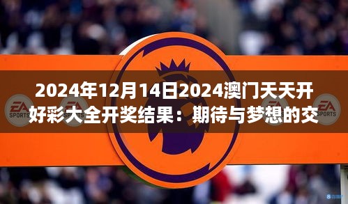 2024年12月14日 第6页