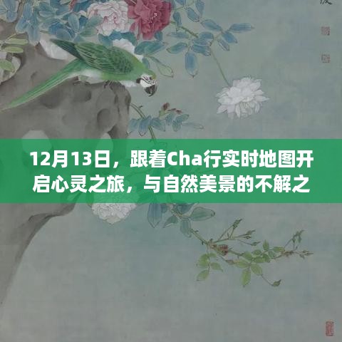 跟着Cha行实时地图，与自然美景的不解之缘的心灵之旅（12月13日）