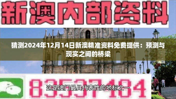 猜测2024年12月14日新澳精准资料免费提供：预测与现实之间的桥梁