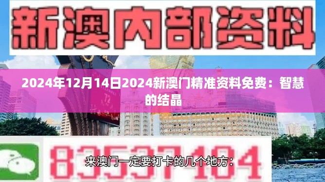 2024年12月14日2024新澳门精准资料免费：智慧的结晶