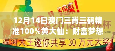 12月14日澳门三肖三码精准100%黄大仙：财富梦想的追求