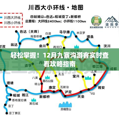 2024年12月15日 第23页