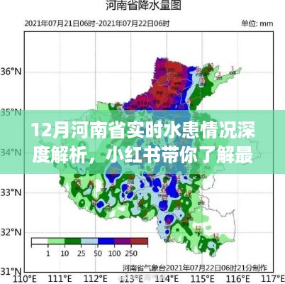 小红书带你深度解析河南实时水患情况，最新动态全掌握