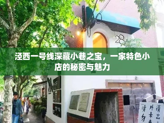 泾西一号线小巷之宝，特色小店的神秘魅力与秘密