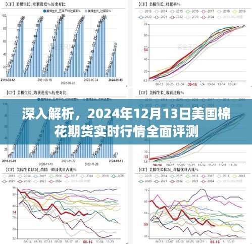 2024年12月15日 第19页