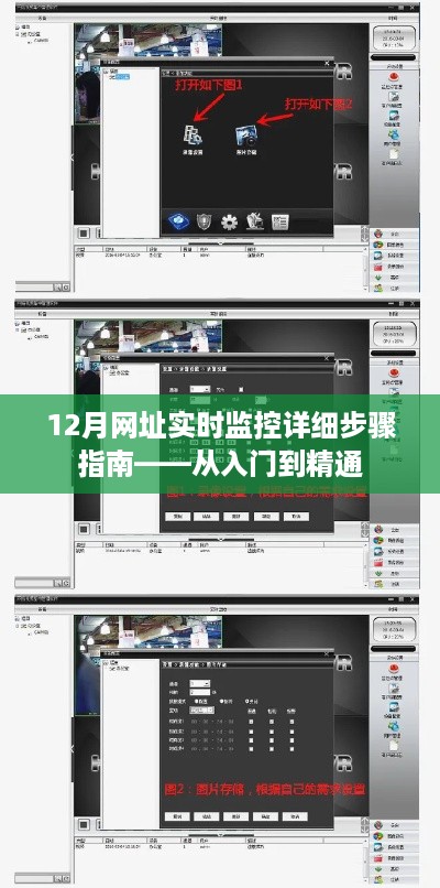 12月网址实时监控全程指南，入门到精通教程