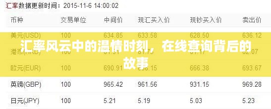 汇率风云中的温情时刻，在线查询背后的故事探秘