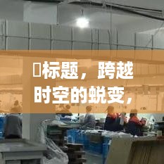 跨越时空的蜕变，浙江工业装箱机的价格之旅与自我成长的探索