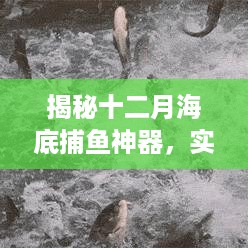 揭秘十二月海底捕鱼神器，实时抓鱼软件名称及功能详解