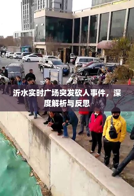 沂水实时广场砍人事件，深度解析与反思