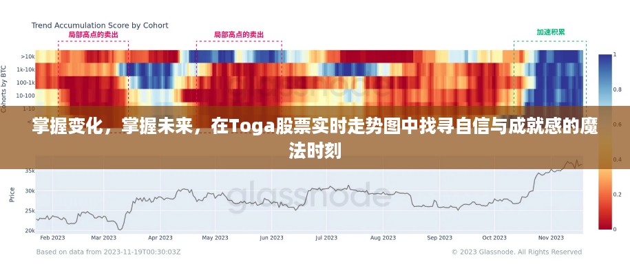 Toga股票实时走势图，掌握变化，探寻成就与自信的魔法时刻