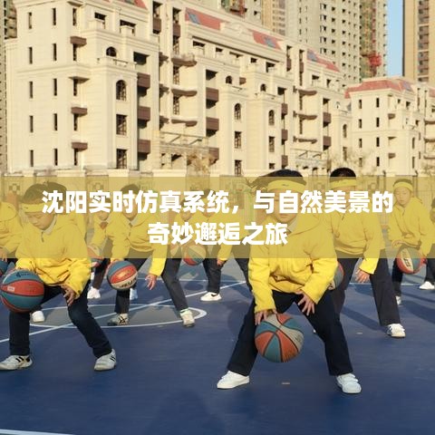 沈阳实时仿真系统，与自然美景的交融之旅