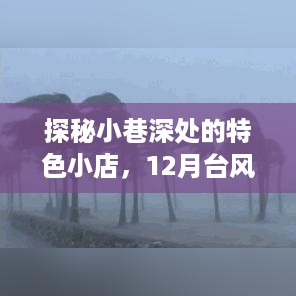 台风烟花下的惊喜之旅，探秘小巷深处的特色小店