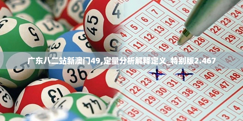 广东八二站新澳门49,定量分析解释定义_特别版2.467