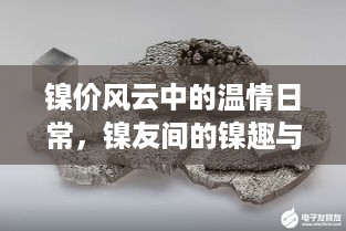 镍界风云中的温情日常与镍友间的趣味相伴