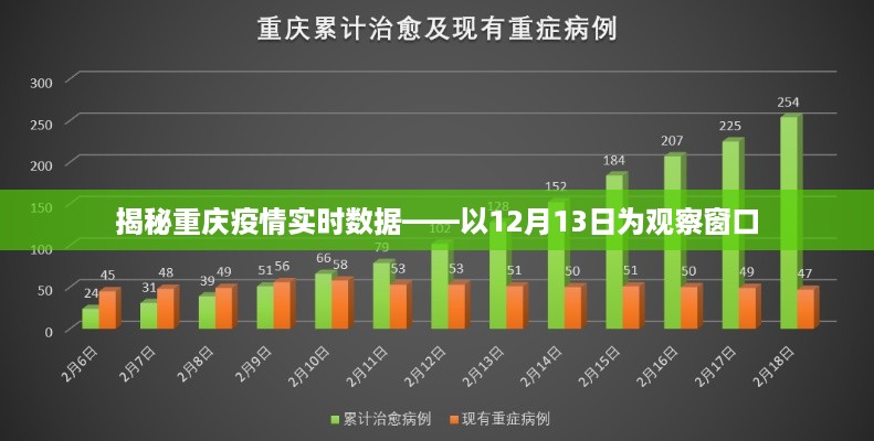 重庆疫情观察，揭秘12月13日实时数据报告